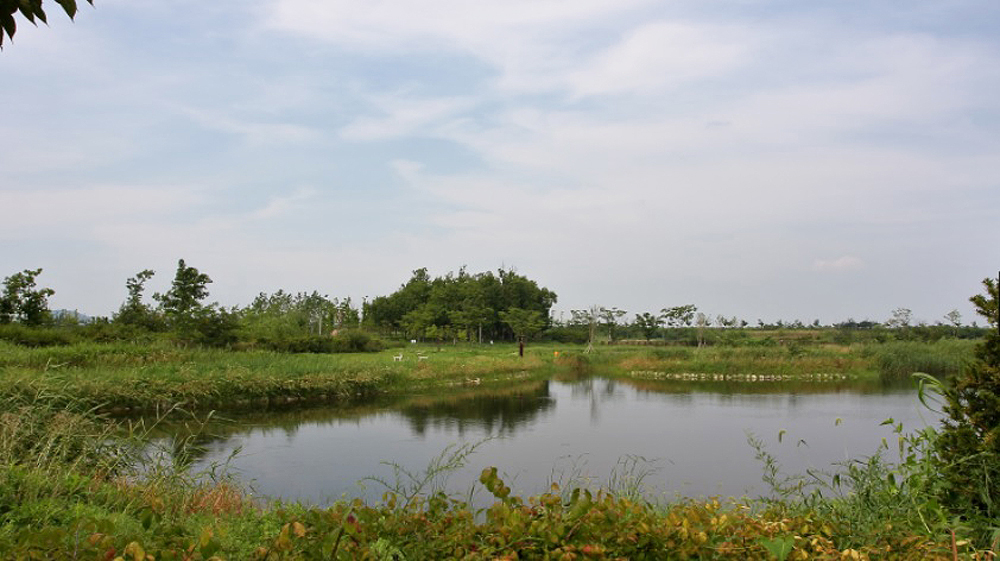 김포한강야생조류생태공원은 다양한 철새들과 야생동물을 만나볼 수 있는 ‘낱알들녘’을 비롯해 다양한 생태체험을 해볼 수 있는 곳이다. 