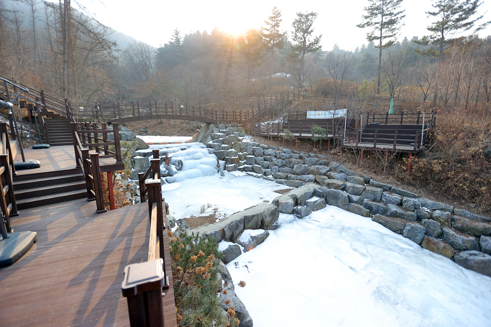 물맑음수목원에는 20개의 전시원이 자리해 다양한 구경거리를 제공하고 있다.