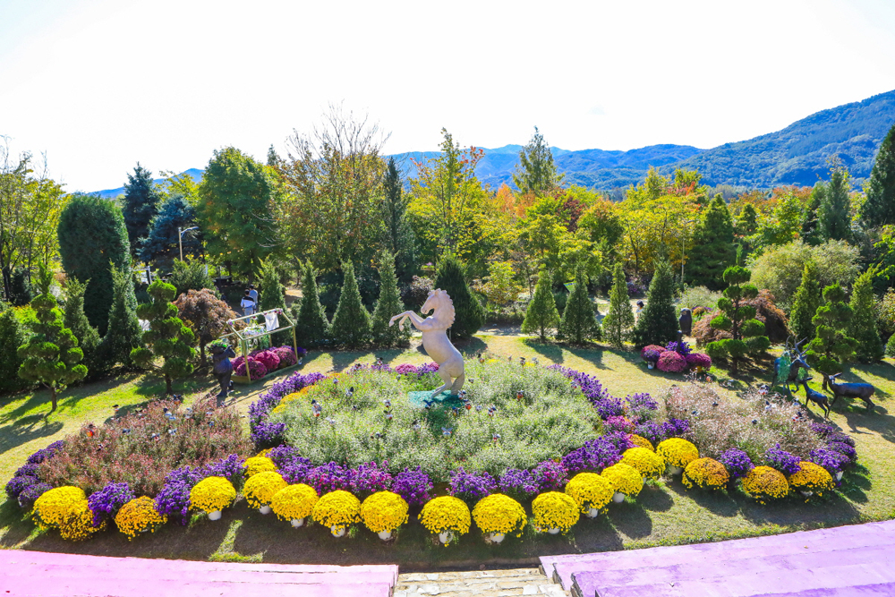들꽃수목원은 남한강변의 정취와 꽃들의 아름다움을 동시에 즐길 수 있는 휴식 공간이다.