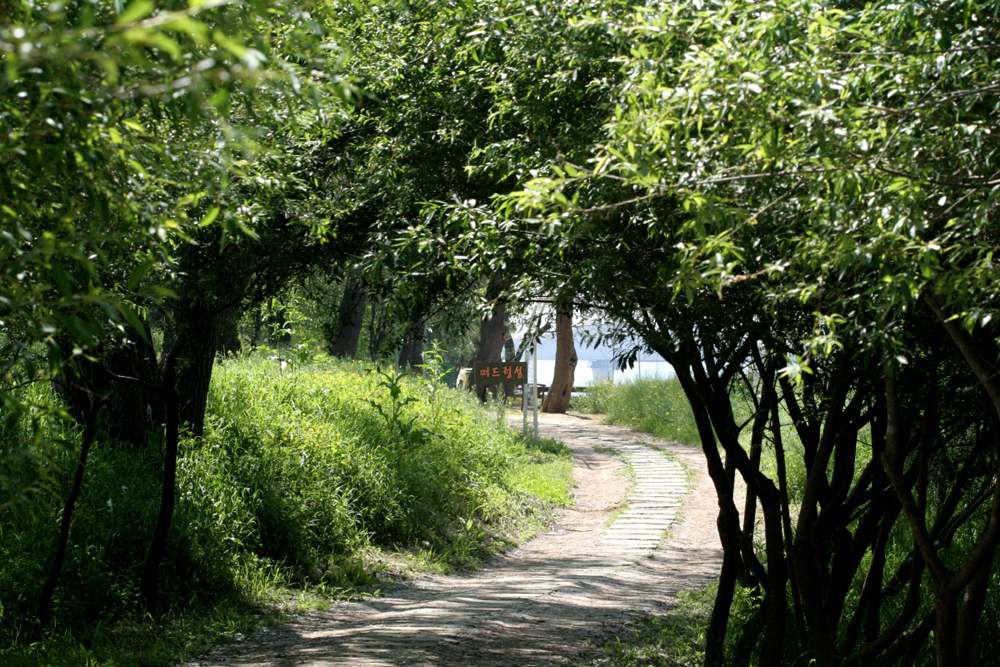 수목원 내에 자리한 떠드렁 섬은 남한강의 상류인 충주지역에서 홍수 때 떠내려왔다 해서 붙여진 이름으로 뽕나무 숲이 전국 최대 규모로 자리하고 있는 게 특징이다.