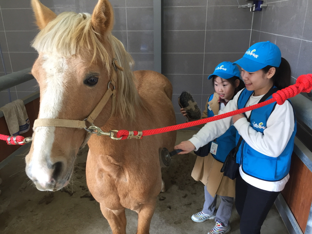 진로축산 이미지