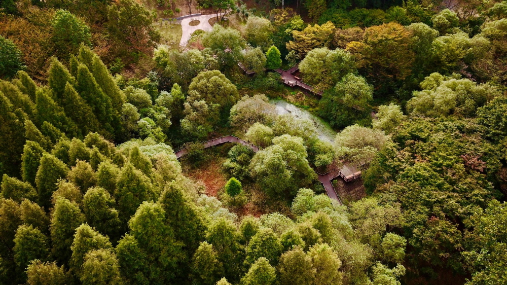 경기도산림환경연구소는 여름방학을 맞아 오는 7~8월 2개월간 오산시 수청동 소재 경기도립 물향기수목원에서 ‘숲 체험 가족 프로그램’을 운영한다. 