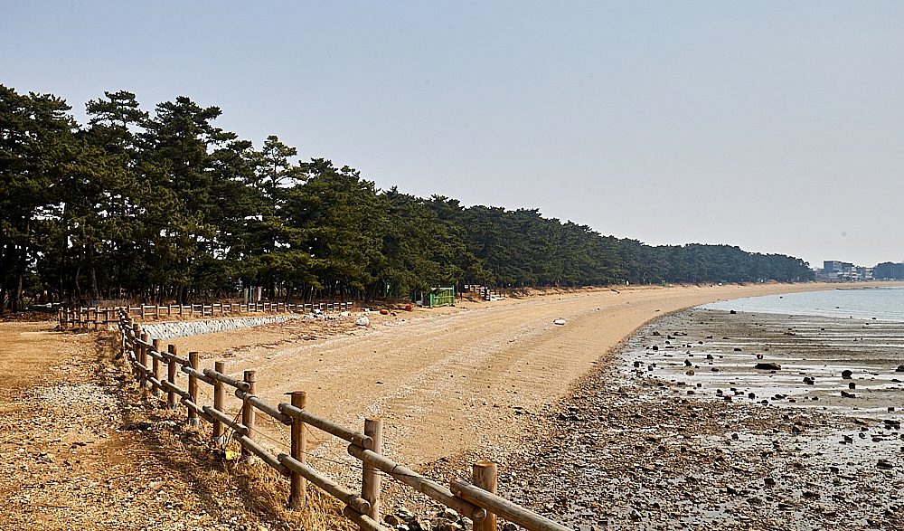 궁평 해변에 형성된 사구는 보존 상태가 좋은 해안사구로 꼽는다. 