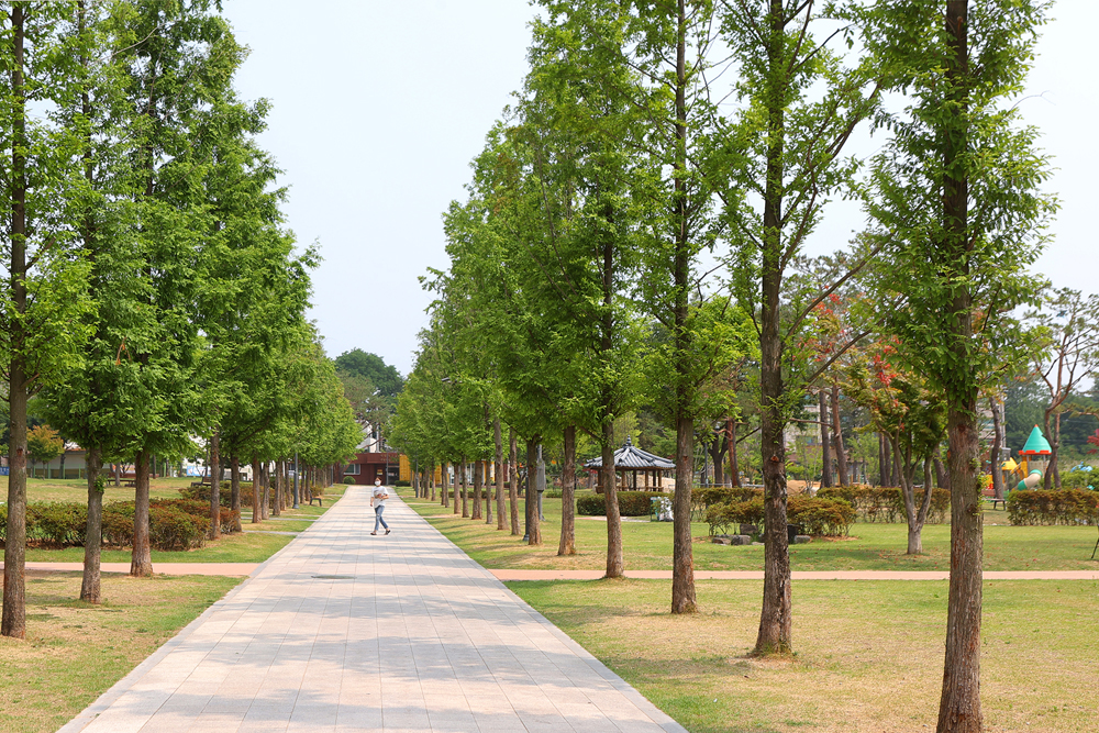안성맞춤가족공원은 33만 평 구릉 지대에 쾌적하게 즐길 수 있는 여러가지 문화 시설을 완비한 곳이다.