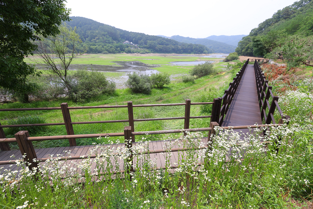 금광호수는 호수를 둘러싼 둘레길도 유명하다. 길 사이사이엔 박두진 시인의 작품이 전시돼있다.