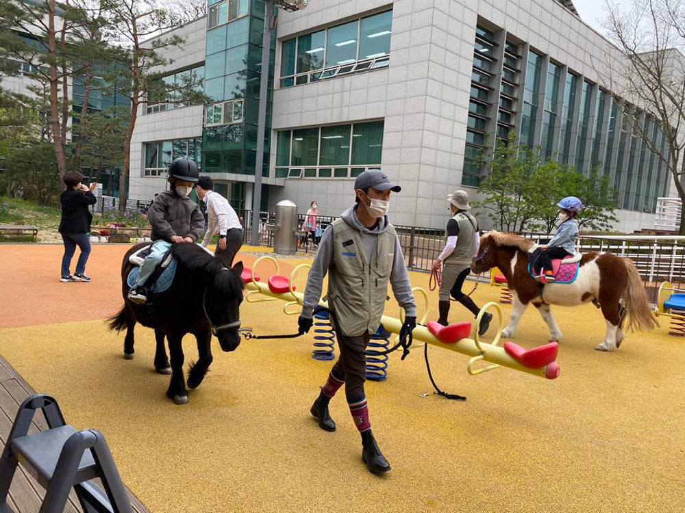 경기도축산진흥센터는 올해 1,600명의 어린이들을 대상으로 ‘말과 함께하는 어린이 말 체험 프로그램’을 진행한다고 지난 6일 밝혔다. 사진은 말 체험 프로그램의 모습.