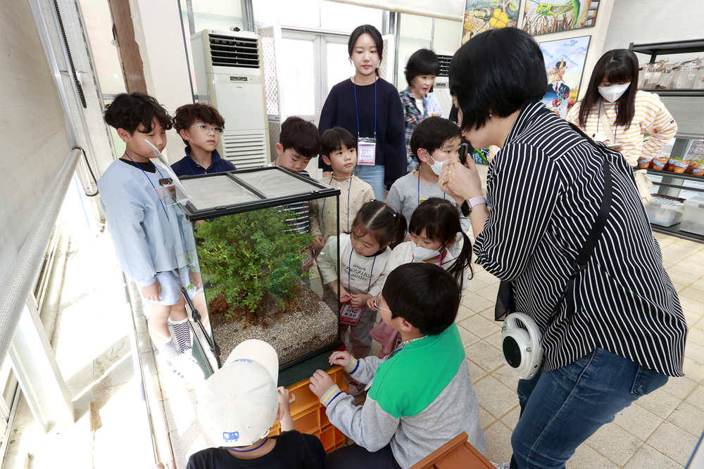 곤충생태온실에서 참가 어린이들이 곤충을 관람하고 있다.