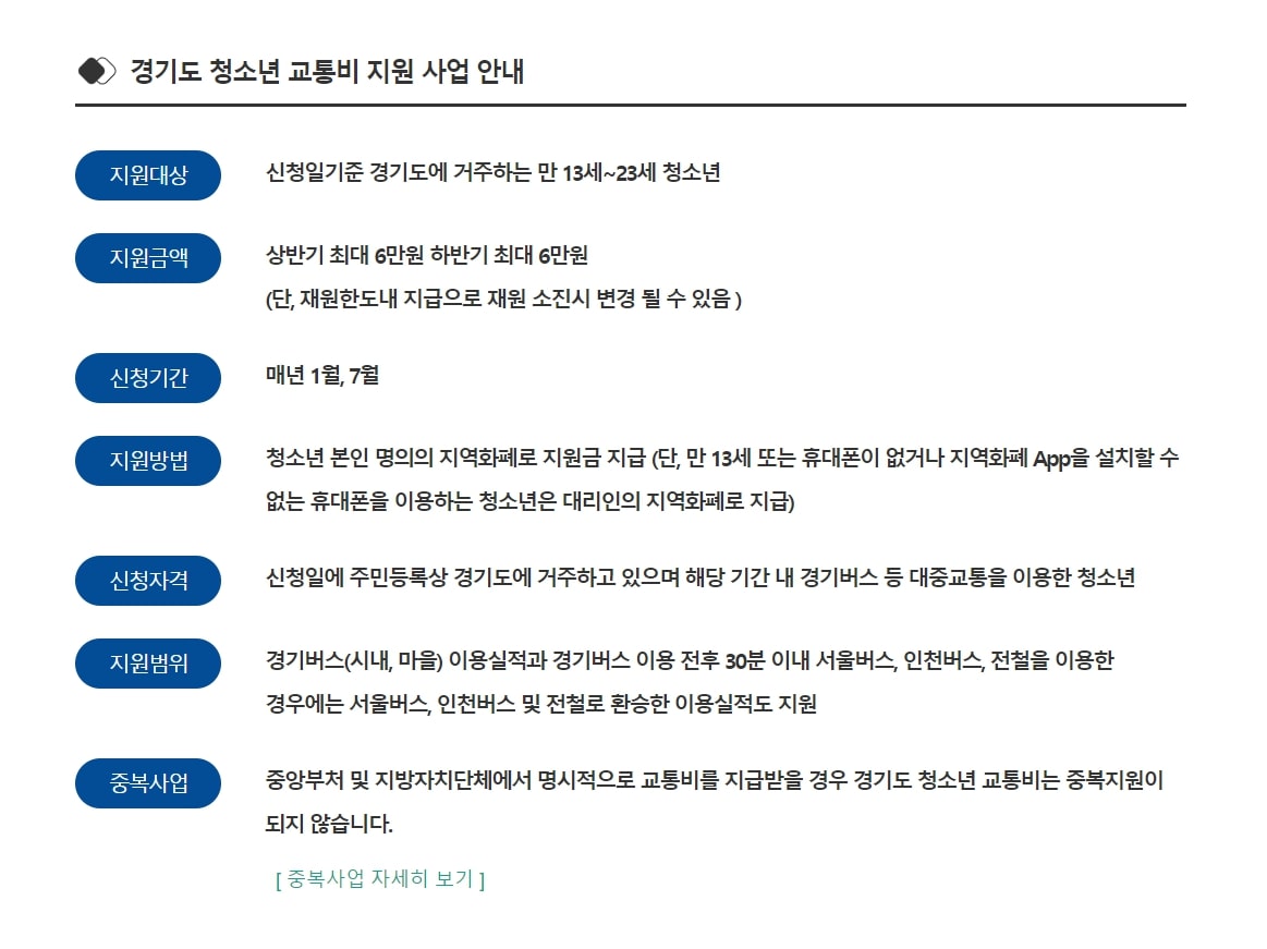 청소년 교통비 지원 사업 정리표
