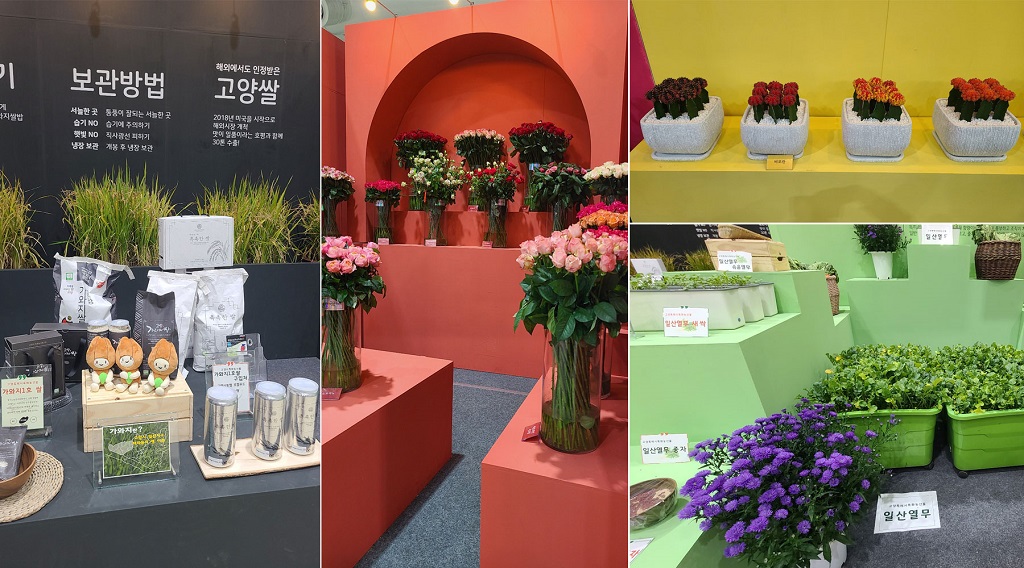고양가을꽃축제 `비밀의 화원` 속으로! : 꿈나무기자단 : 경기도뉴스포털 고양가을꽃축제 `비밀의 화원` 속으로!