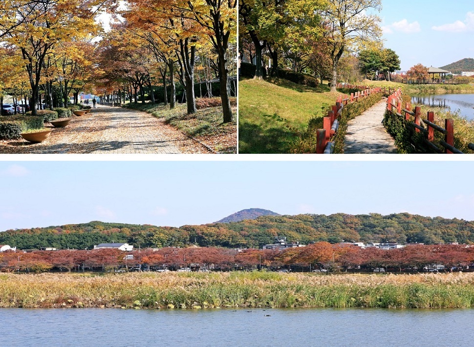 화랑유원지.