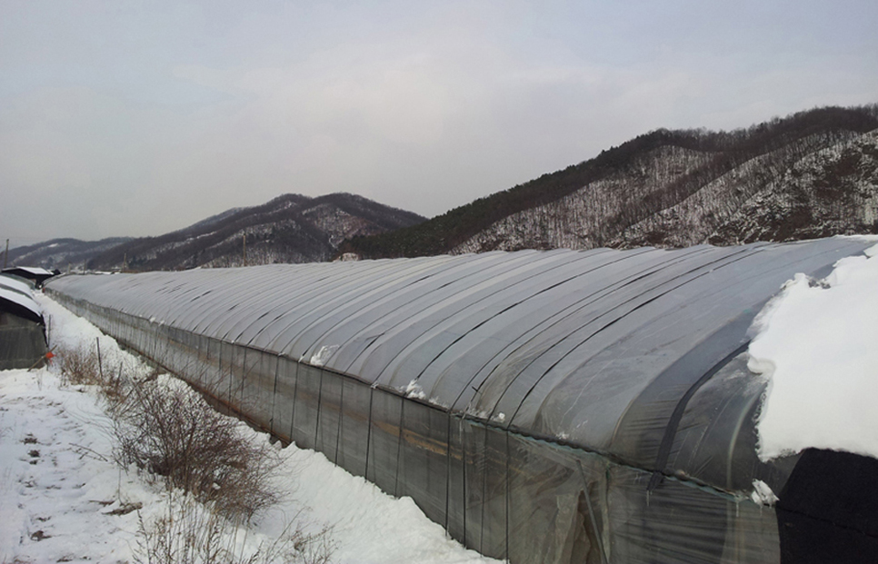 경기도는 눈 피해 우려 지역과 시설에 대한 안전관리를 강화하고, 임시주거시설 및 재해구호물자를 확보해 지원할 방침입니다.