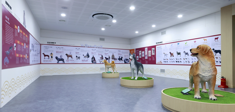 반려마루 문화센터 1층에는 반려마루와 시각장애인 안내견 등 강아지들의 정보를 담고 있는 ‘반려동물 전시관’이 있다. 