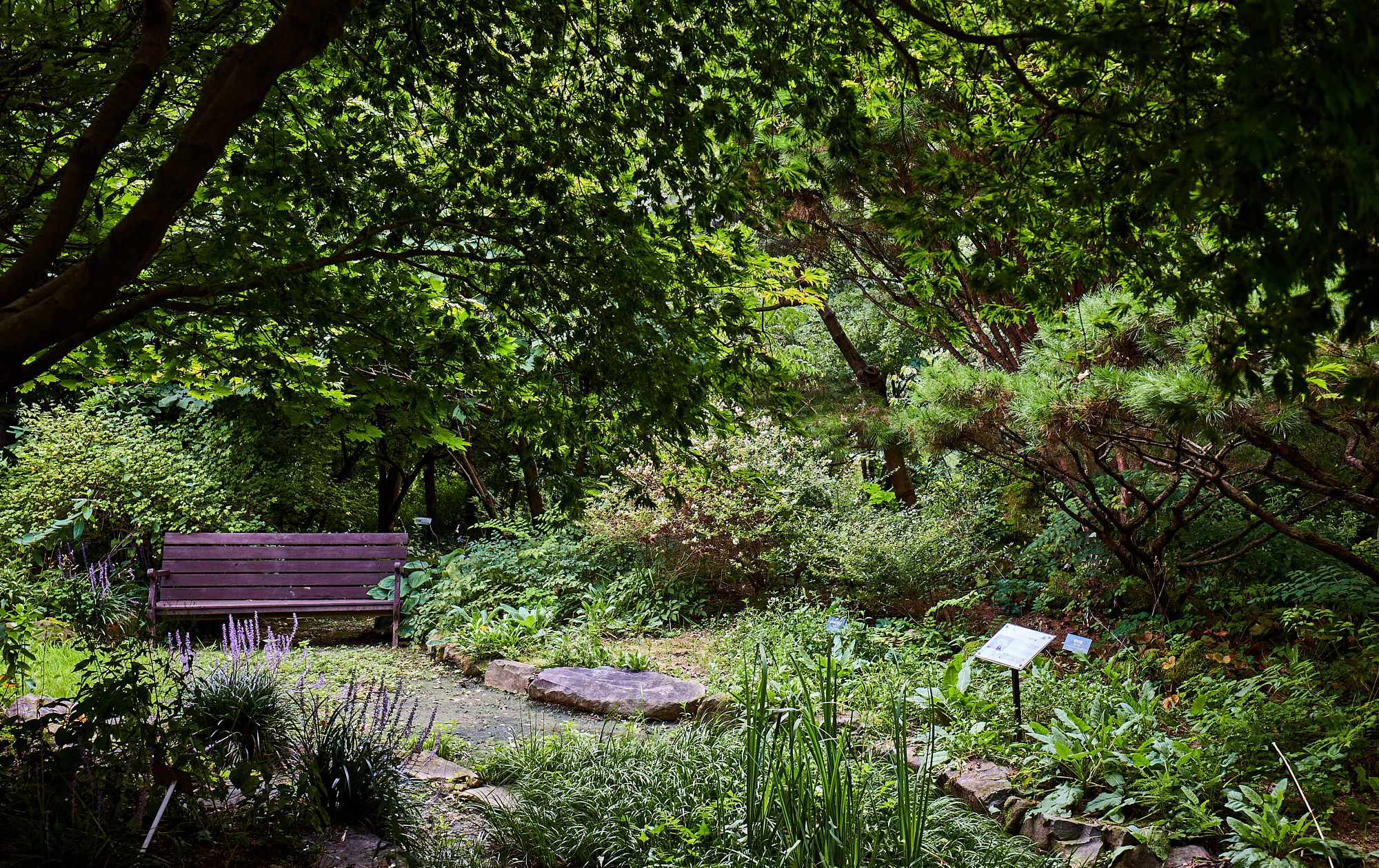 자연 속의 아름다움을 만나다 한택식물원에서 즐기는 힐링 타임 이미지
