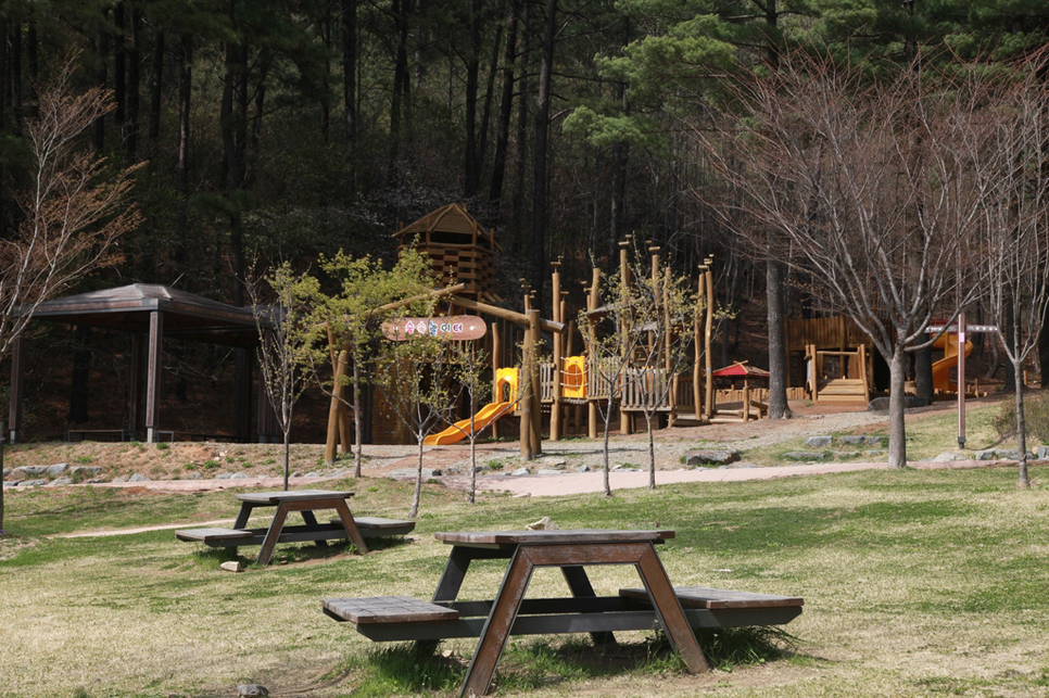 군포 수리산도립공원 숲속놀이터는 자연 친화적으로 목재로 만들어진 놀이기구가 있어 아이들과 함께 봄 피크닉을 즐기기 좋습니다.