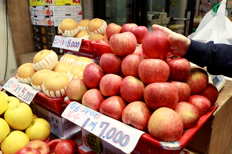 사과 도매가격이 올해 1월 12일 기준 9만 740원으로 사상 처음으로 9만 원을 돌파했다.