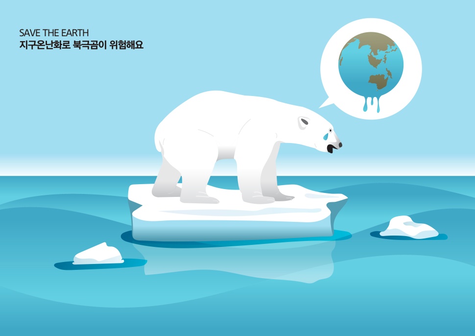 북극곰은 지난 2008년 미국이 지구 온난화를 사유로 멸종위기종에 올린 첫 사례다.