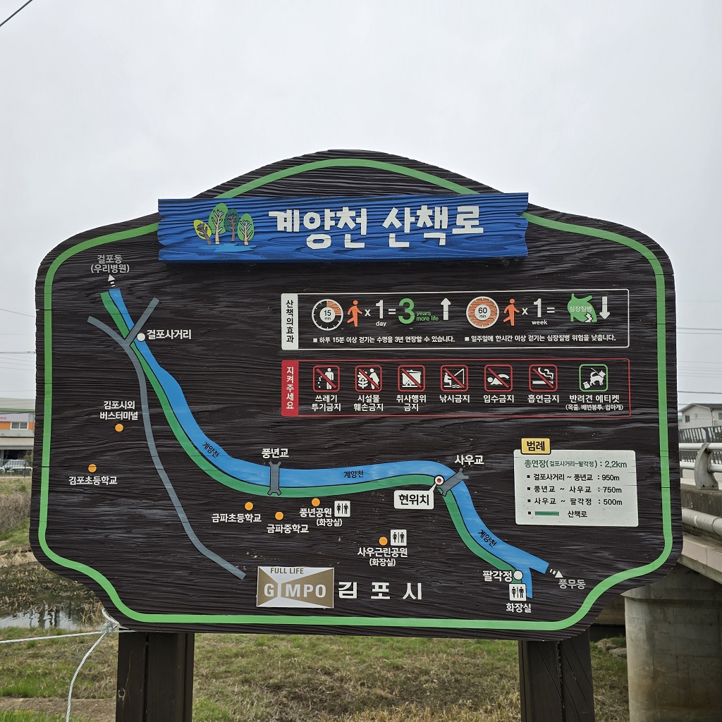 지역주민들에게 벚꽃 명소로 알려진 김포 계양천 산책로 
