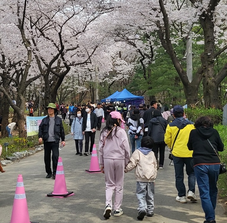 4월 6일과 7일 열린 제26회 부천 도당산 벚꽃축제는 상춘객들로 북적였다.  