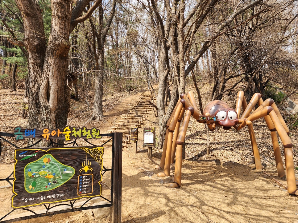 목각 거미가 호기심을 자극하는 금배유아숲체험원 