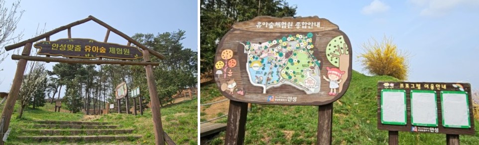 안성맞춤랜드 유아숲체험원 풍경