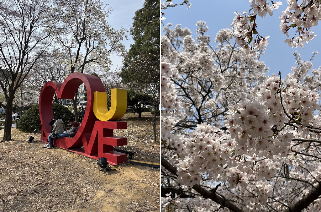 4월 5일부터 7일까지 옛 경기도청에서 봄꽃축제가 열렸다. 