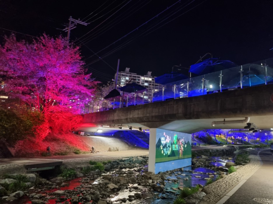 [포토뉴스] 야경이 아름다운 호만천 벚꽃 버스킹 