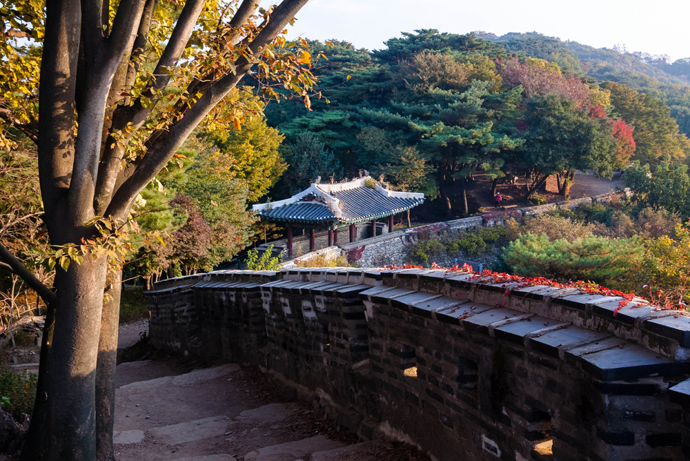 통일신라 문무왕 때 쌓은 주장성(672)의 옛터를 활용해 조선 인조 4년(1626)에 대대적으로 구축한 것이 남한산성의 기원입니다.