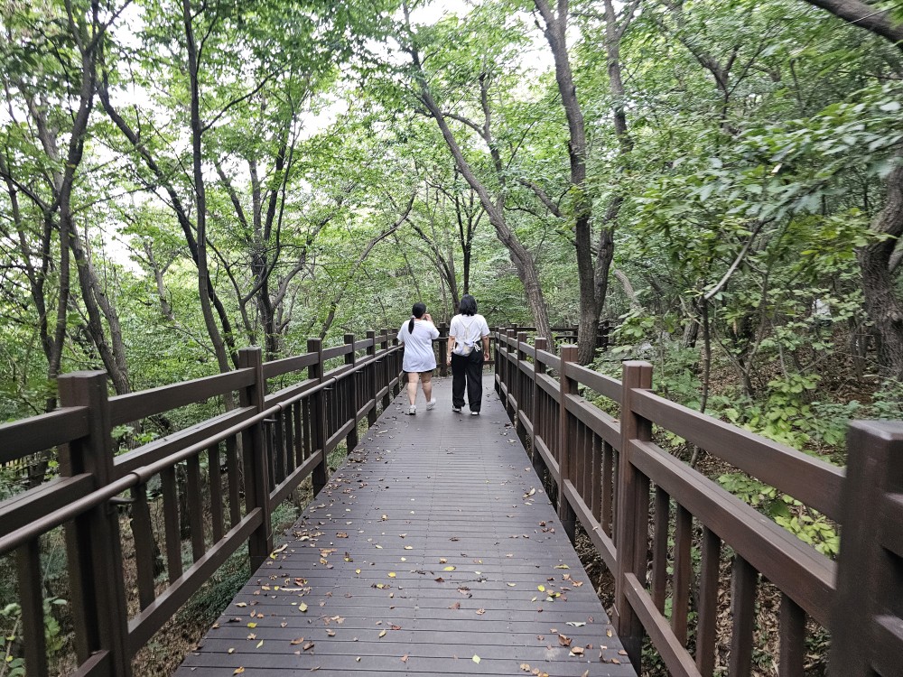 갈매구릉산자락길 나무 데크