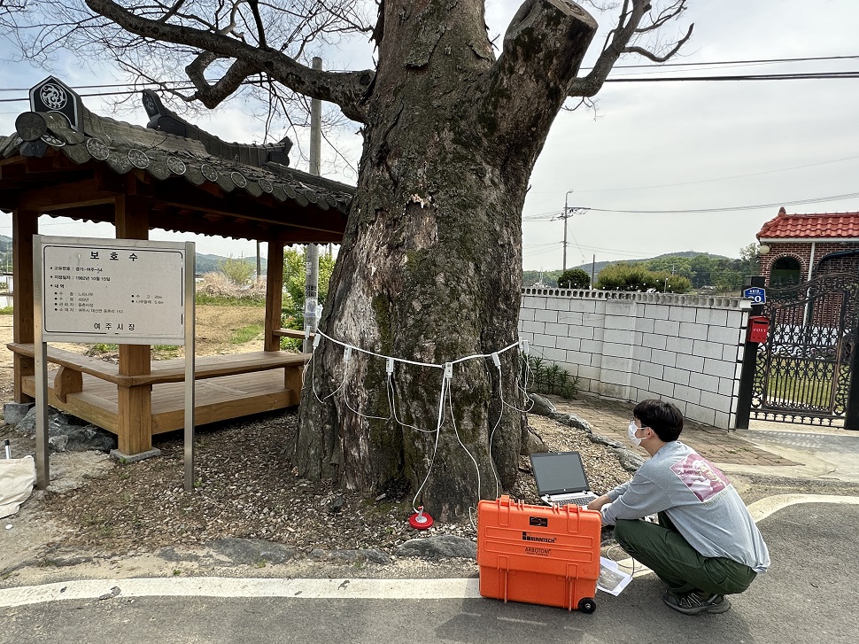 경기도 보호수 관리지원센터의 보호수 관리 자료 사진.