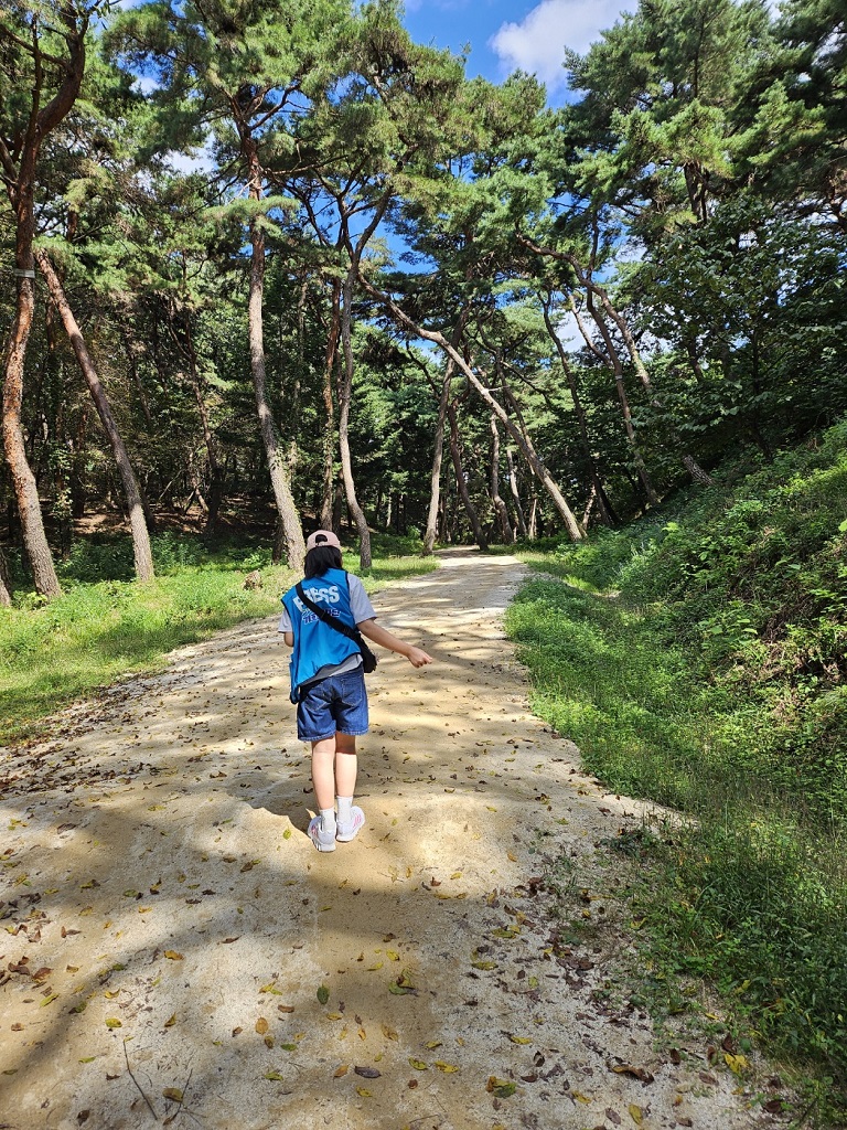 기자가 왕의 숲길을 걷고 있다. 