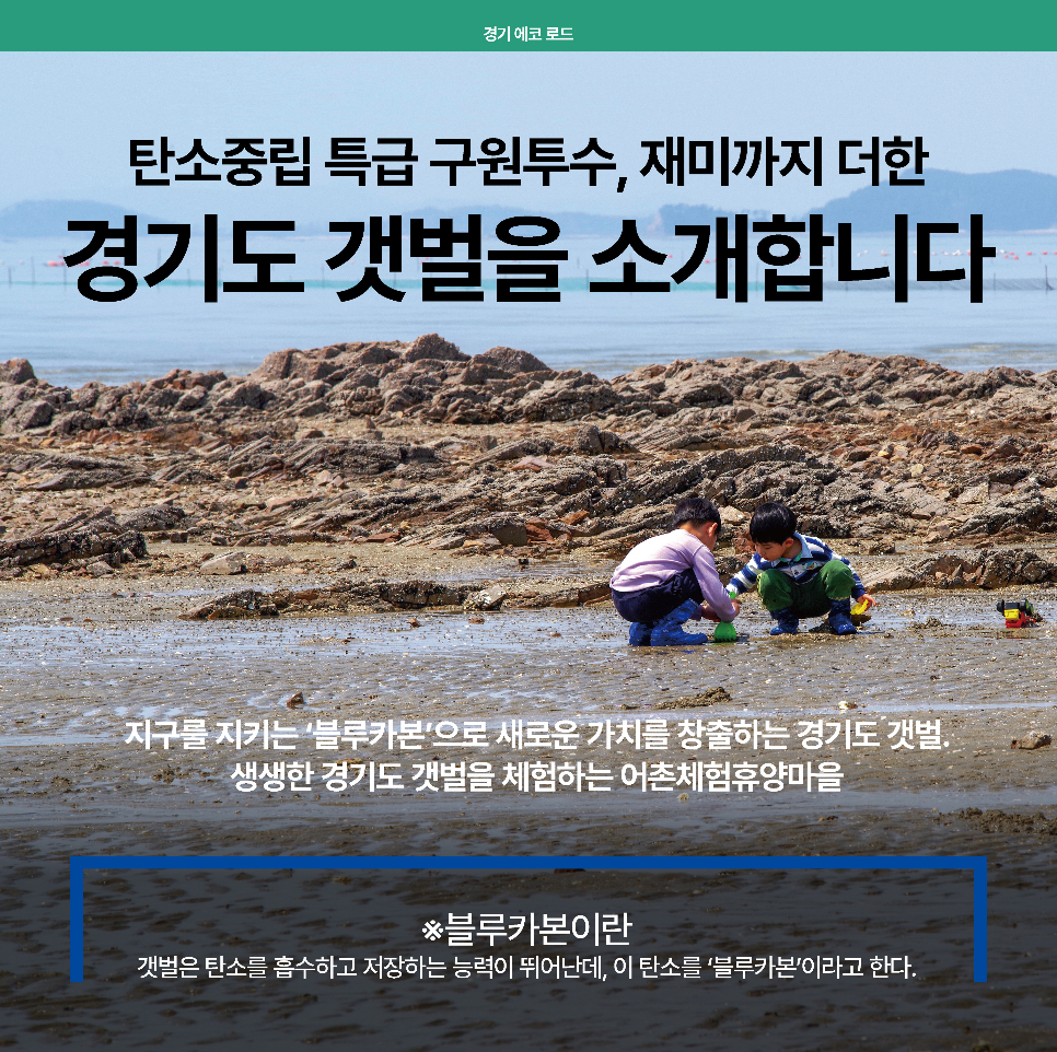 탄소중립 특급 구원투수, 재미까지 더한 경기도 갯벌을 소개합니다. 지구를 지키는 ‘블루카본’으로 새로운 가치를 창출하는 경기도 갯벌, 생생한 경기도 갯벌을 체험하는 어촌체험휴양마을을 소개합니다. 여기서 블루카본이란 갯벌은 탄소를 흡수하고 저장하는 능력이 뛰어난데, 이 탄소를 ‘블루카본’이라 합니다.