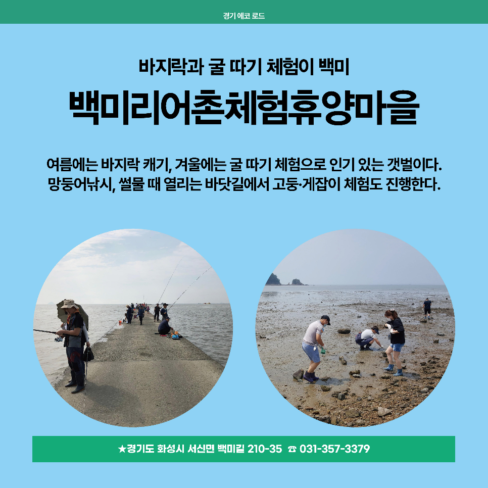 백미리어촌체험휴양마을은 여름에는 바지락 캐기 겨울에는 굴 따기 체험으로 인기가 많은 곳입니다. 망둥어 낚시, 썰물 때 열리는 바닷길에서 고둥과 게잡이 체험도 즐겨볼 수 있습니다. 주소는 화성시 서신면 백미길 210-35로 문의사항은 031-357-3379로 하면 됩니다.