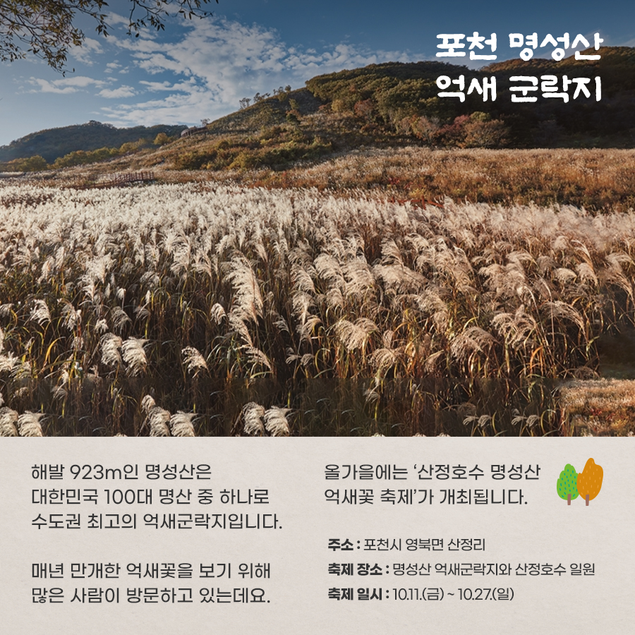 포천 명성산 억새 군락지의 명성산은 해발 923m의 대한민국 100대 명산으로 수도권 최고의 억새군락지입니다. 매년 만개한 억새꽃을 보기 위해 많은 사람이 방문하고 있는데요. 올가을에는 산정호수 명성산 억새꽃 축제가 개최됩니다. 주소는 포천시 영북면 산정리로 축제장소는 명성산 억새군락지와 산정호수 일원입니다. 축제는 10월 11일부터 27일까지 열립니다.