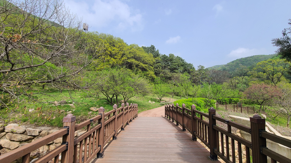 군포, 안양, 안산 시민들에게 마음의 안식처로 사랑받고 있는 수리산은 2009년에 경기도의 세 번째 도립공원으로 지정되었습니다.