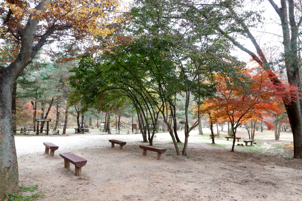 요즘 같은 가을 날씨에 고즈넉한 분위기와 함께 걷기 좋은 숲길이 있다. 바로 조선왕릉 숲길이다.