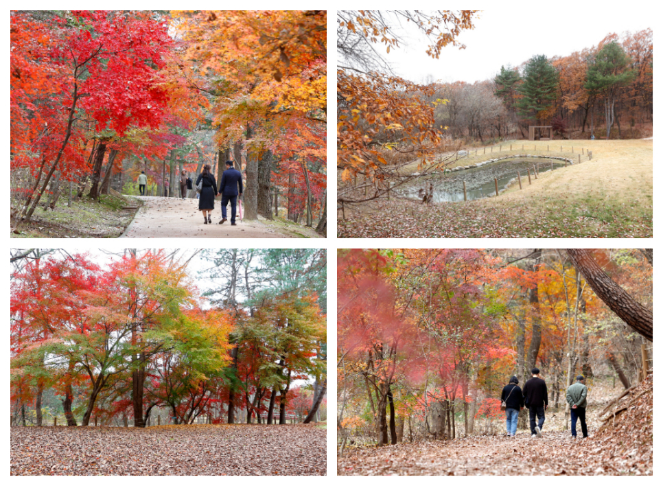 ‘작은 연못 숲길’은 2021년 처음 대중들에게 공개됐으며 순릉에서 영릉까지 연결되는 산책길이다.