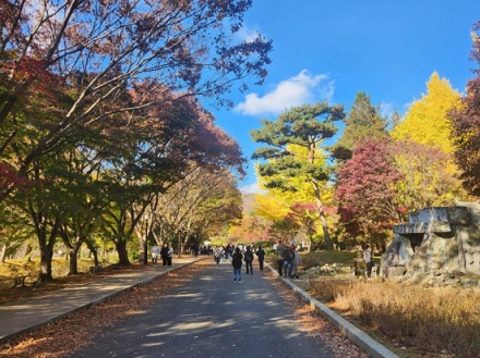 경기도 단풍명소는 여기지! 안성 미리내성지 