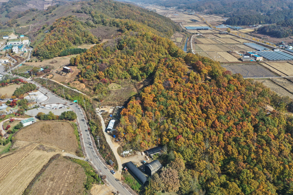 임진강을 따라 이어지는 연천 평화누리길은 약 63.7km에 이르는 걷기 코스로, 강변마을과 역사 유적, 연천의 청정 자연을 만날 수 있는 세 구간으로 구성됩니다.