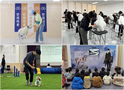 독댄스부터 예절교육까지…경기도가 신설한 반려동물 교육 6가지