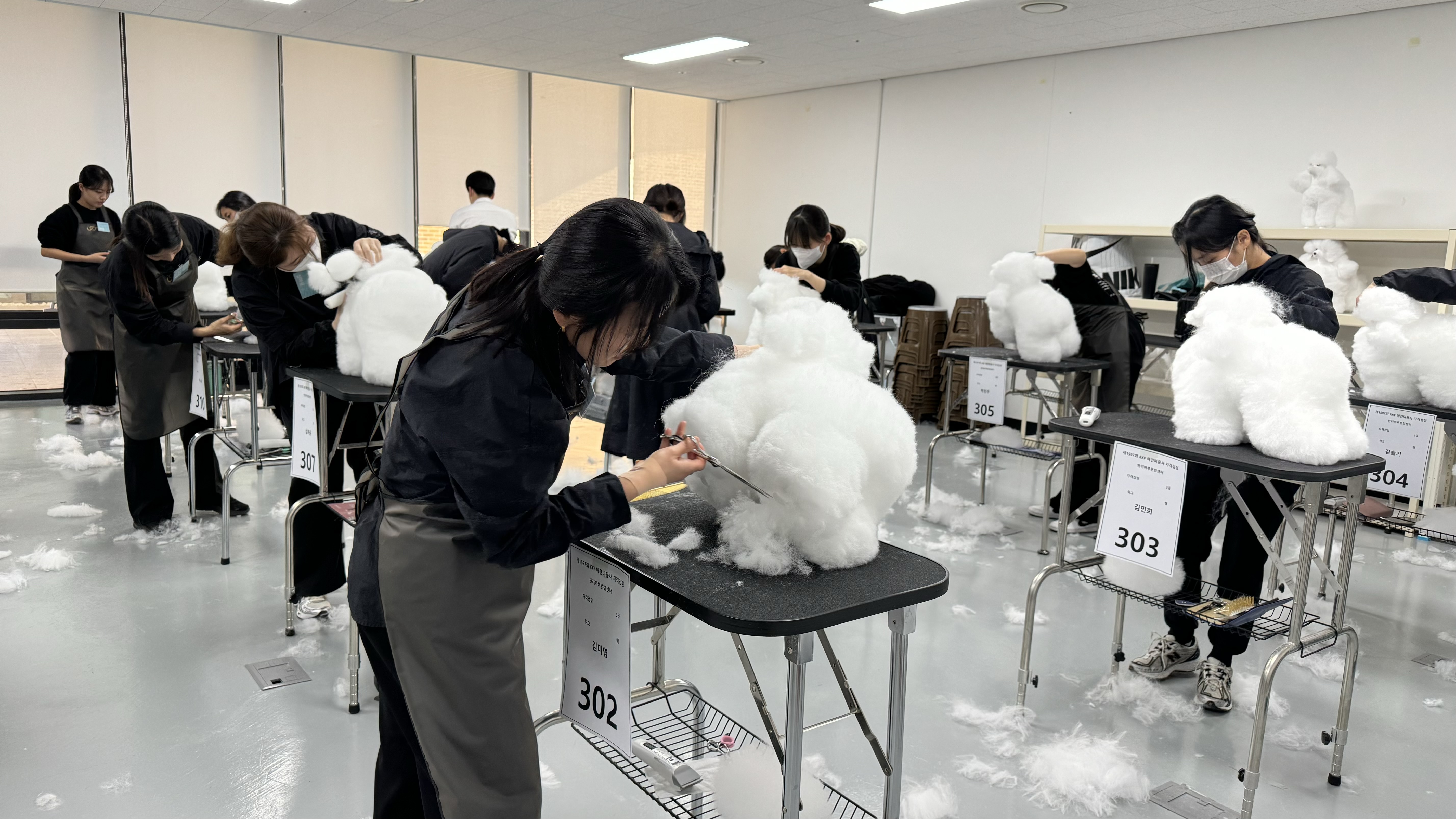 펫시터 직업교육은 입양자, 취업희망자, 일반인 대상으로 반려동물 건강, 훈련, 미용 등 기본적인 양육 관리를 배우는 과정이다.