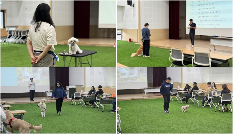 ‘반려견 예절시범단’은 경기도가 처음 선보이는 과정이다.
