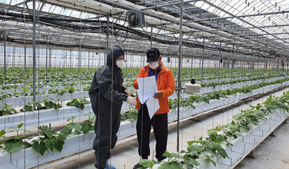 [스마트 in 경기] ④ 스마트팜