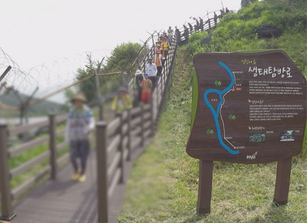 DMZ 평화의 길 ‘도내 4개 테마노선 개방’ 