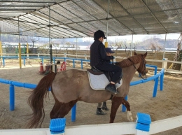 동물과의 교감, 먹이 주기, 놀이기구까지 만원으로 누리는 행복