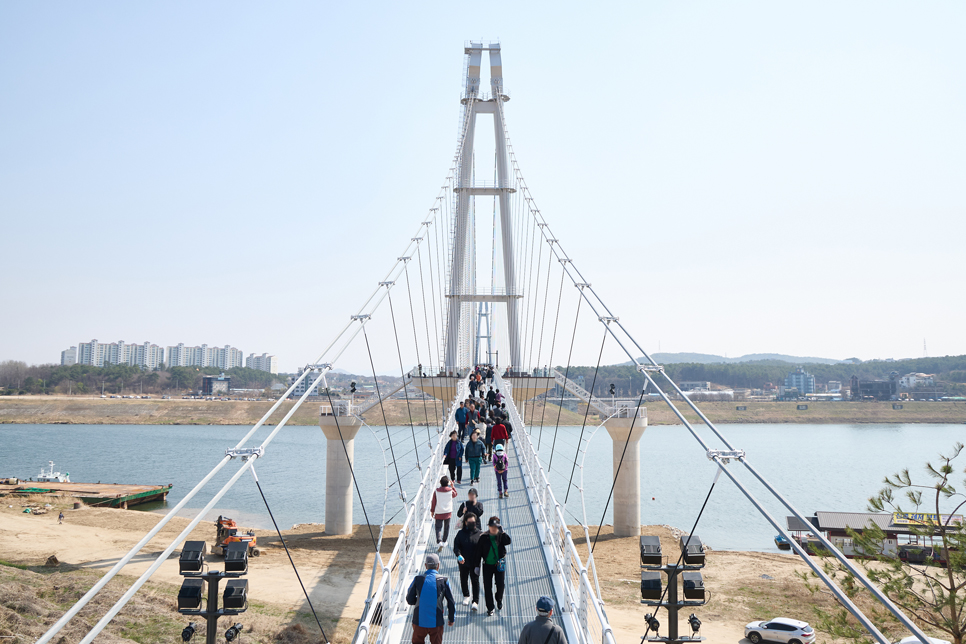 ‘여주 남한강 출렁다리’는 길이 515m, 폭 2.5m 규모의 보행 전용 현수교로 만들어졌습니다.