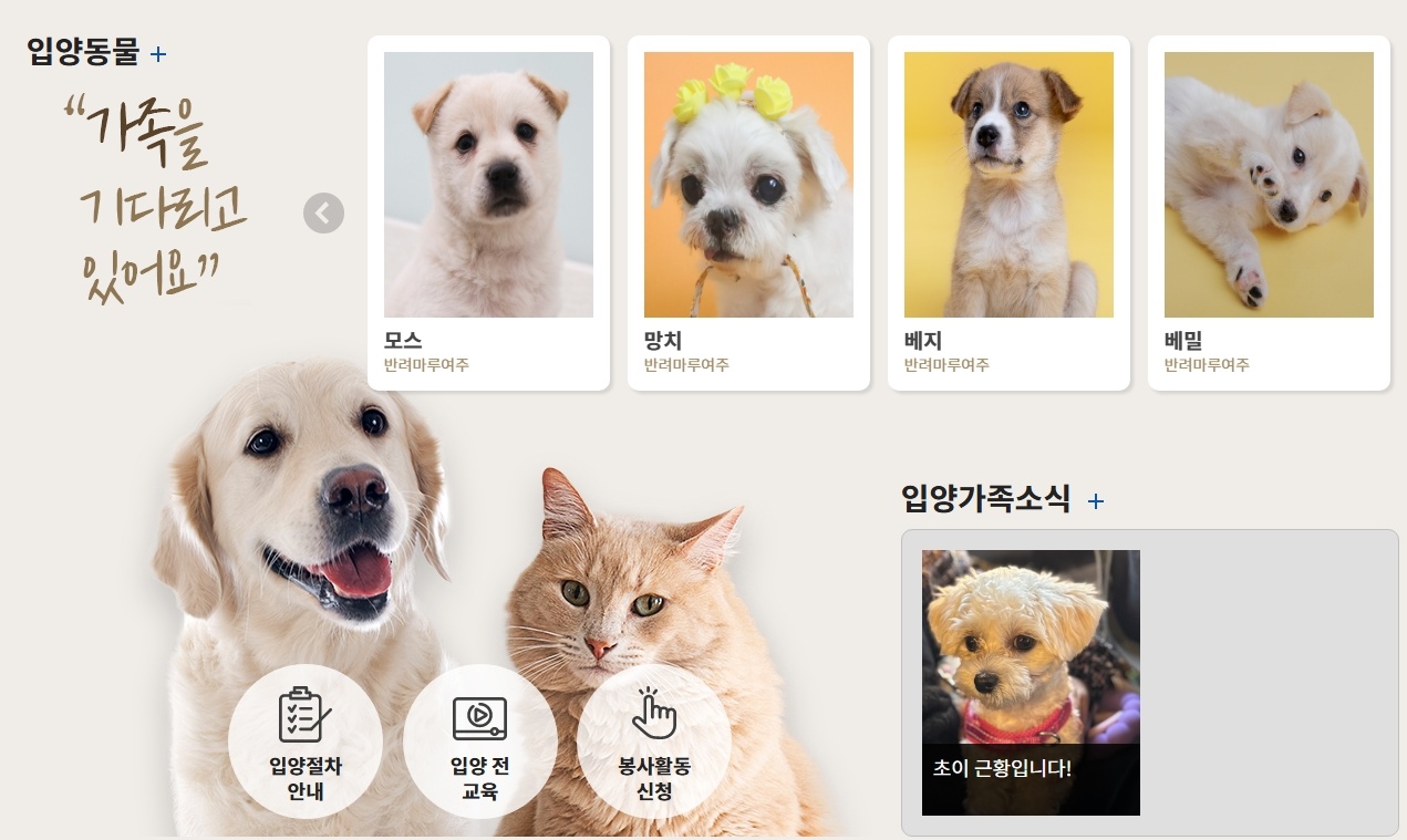 ‘경기도 입양동물 안심보험 무한돌봄 지원사업’ 지원 대상은 올해 1월 1일부터 도내 도·시군 직영 또는 위탁 동물보호센터에서 입양된, 동물등록이 완료된 개와 고양이이다.