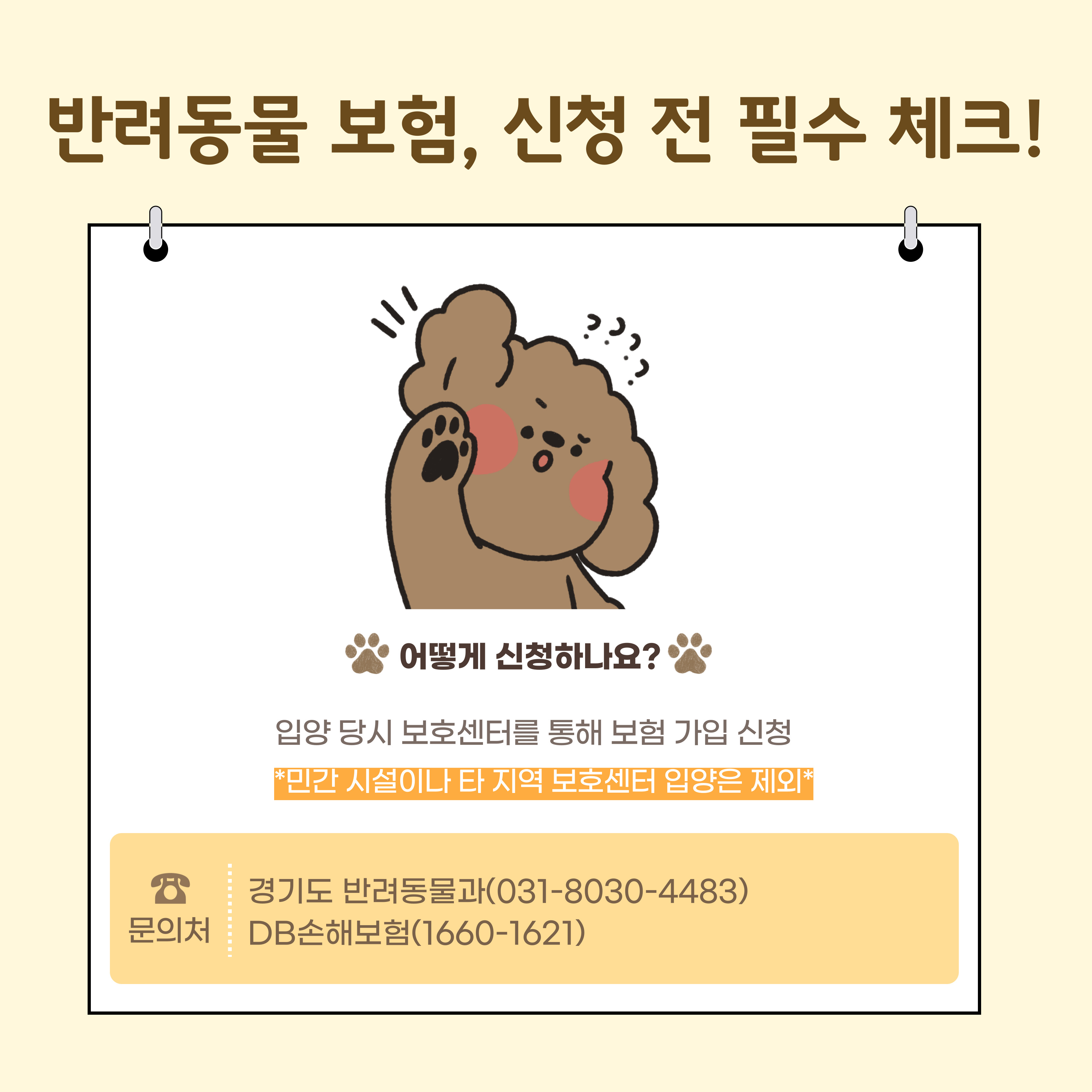 반려동물 보험 신청 방법