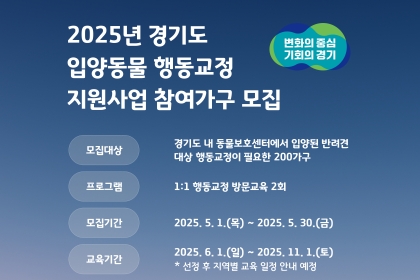 입양동물의 적응과 행동교정이 걱정이라면?  이미지