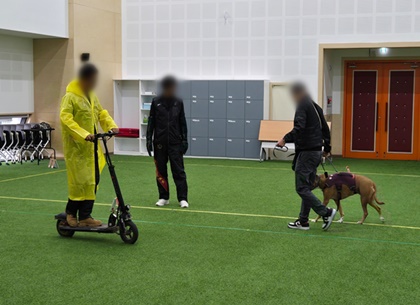 “아무나 키울 수 없는 맹견!” 경기도, “맹견 보호자는 맹견사육허가 꼭 받으세요” 이미지