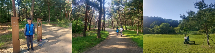 융릉으로 가는 산책로, 나무 그늘로 시원하고 곳곳에 벤치도 있어 걷기 안성맞춤이다.